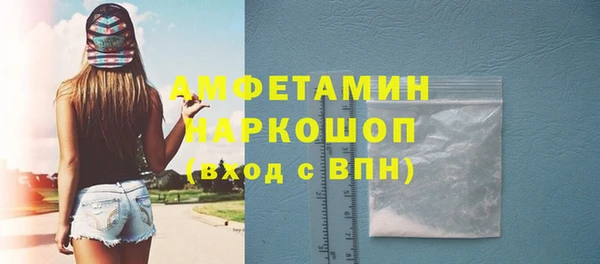 2c-b Инсар