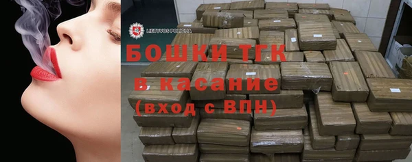 2c-b Инсар