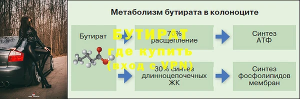 2c-b Инсар