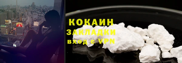 2c-b Инсар