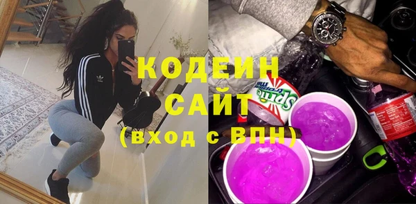 2c-b Инсар