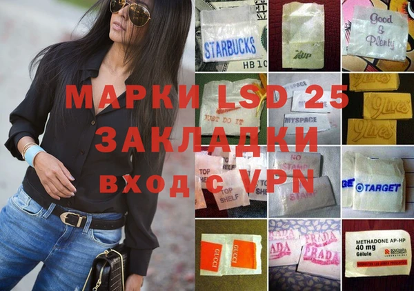 2c-b Инсар