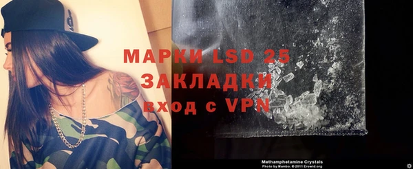 2c-b Инсар