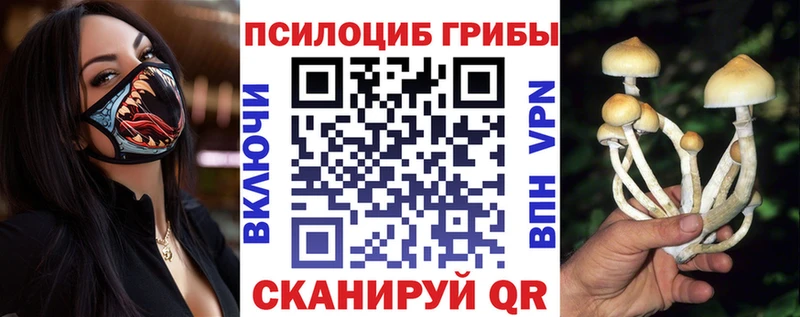 Псилоцибиновые грибы мицелий  Купить  Вятские Поляны 